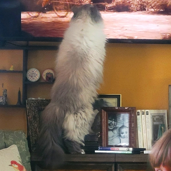 My memories on your sleeve ;) - Picture 5 of 16